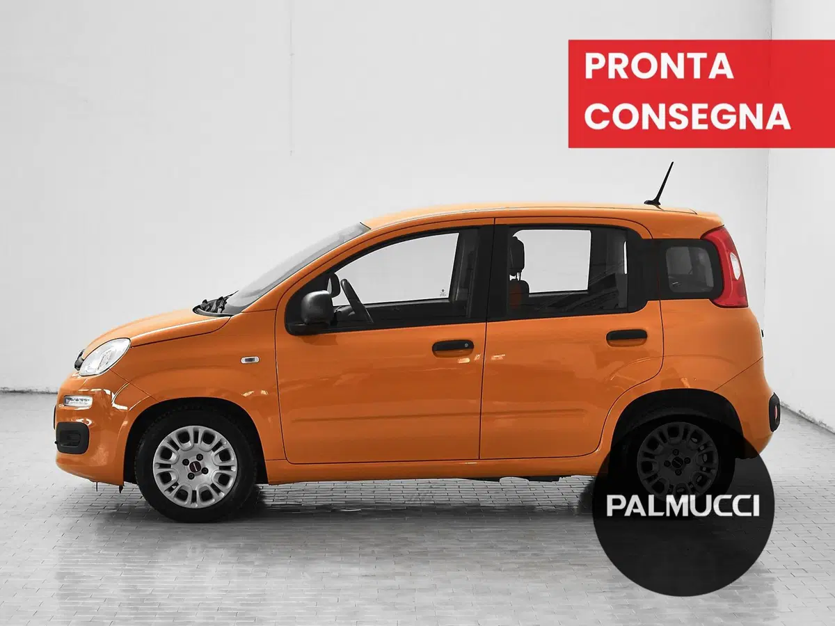 Fiat Panda usata a Prato (5)