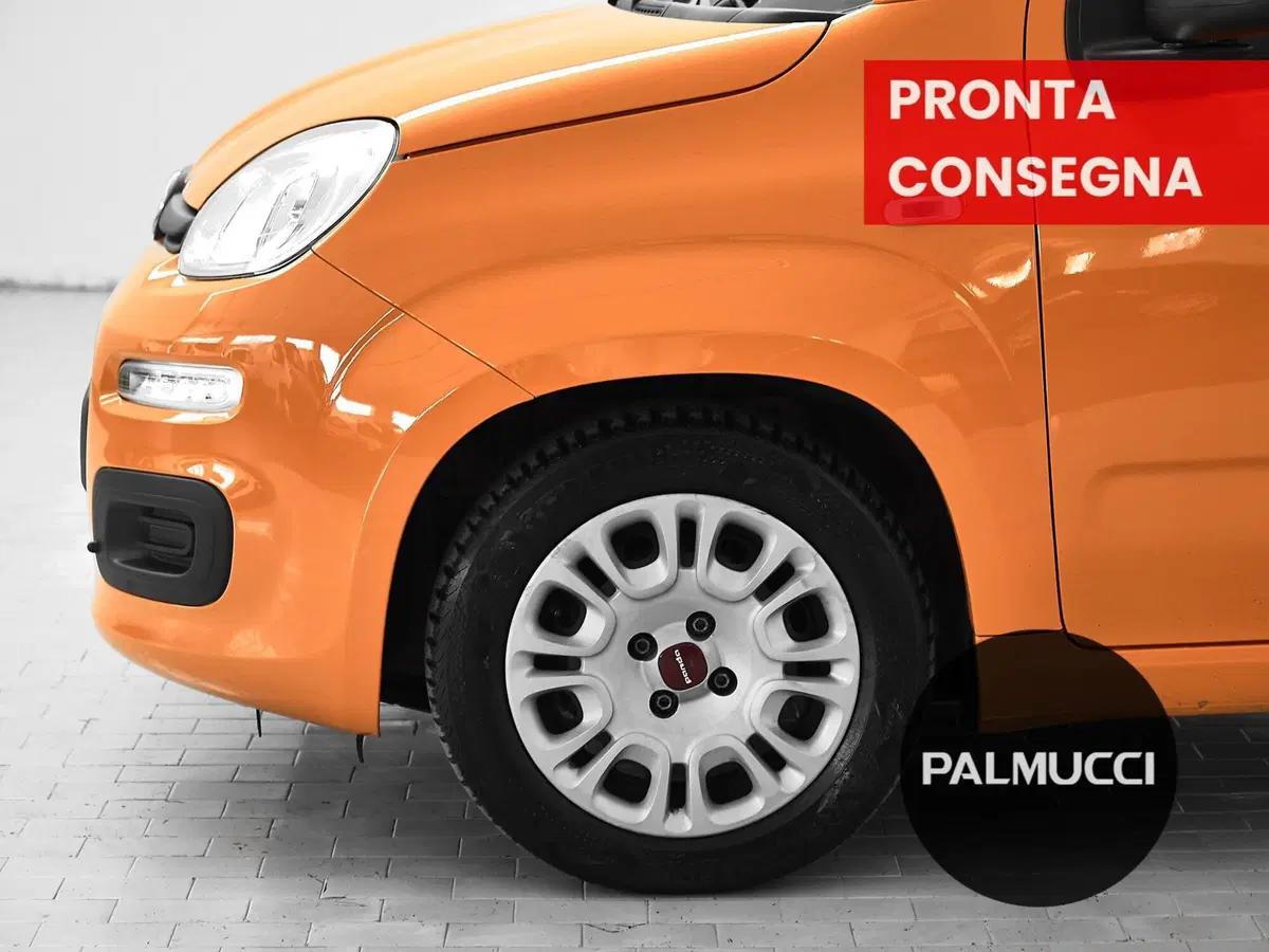Fiat Panda usata a Prato (8)