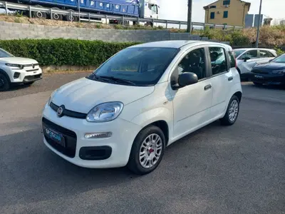 Fiat Panda 1.2 Easy del 2019 usata a Lucca
