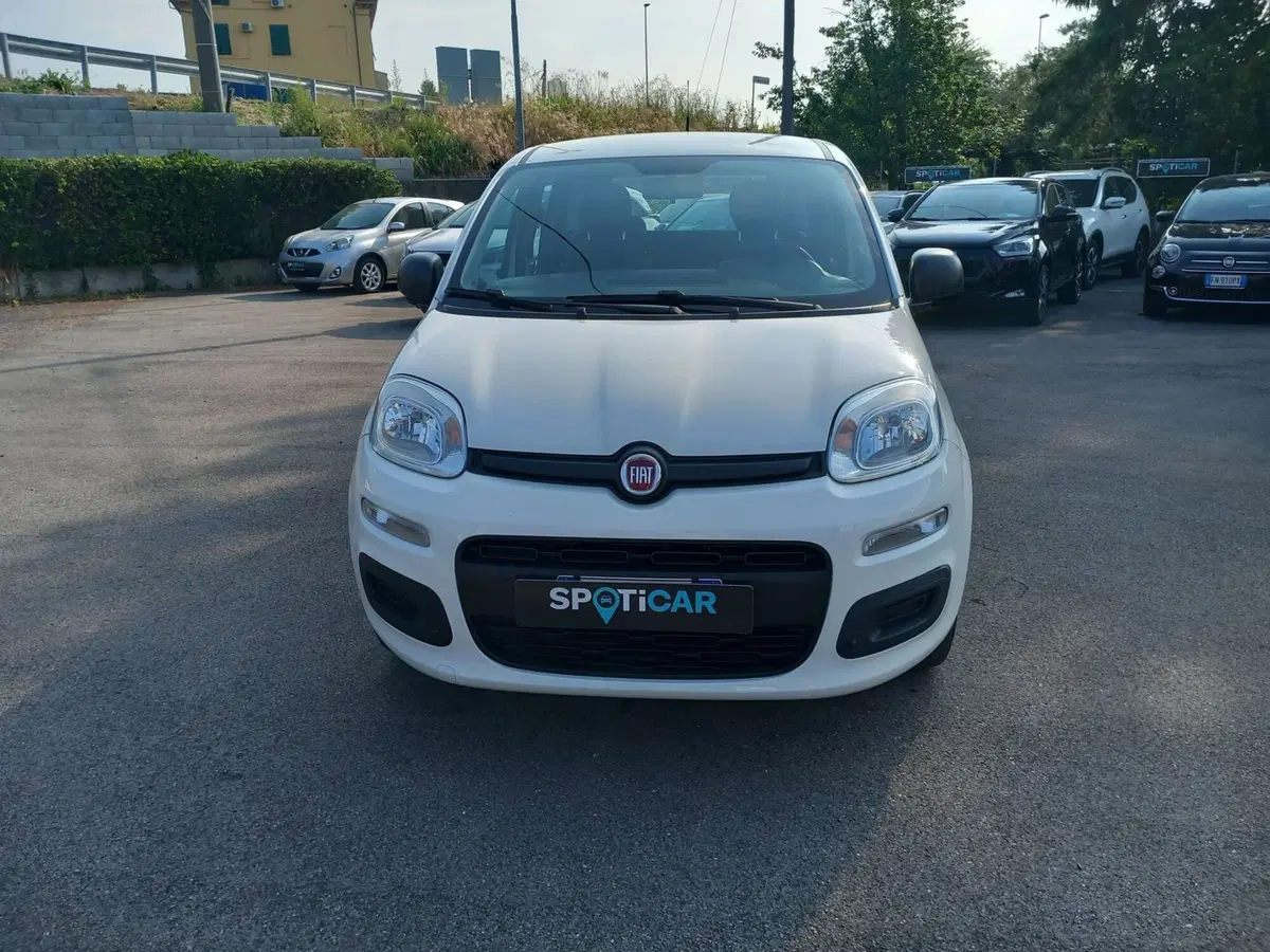 Fiat Panda usata a Lucca (2)