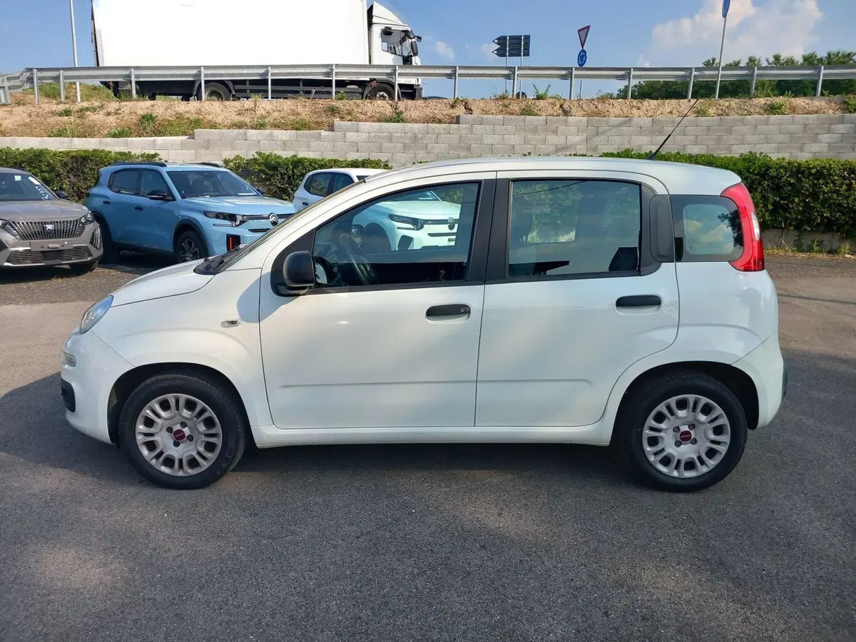 Fiat Panda usata a Lucca (3)