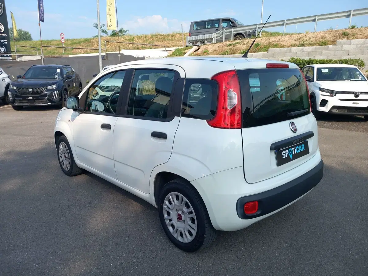 Fiat Panda usata a Lucca (4)