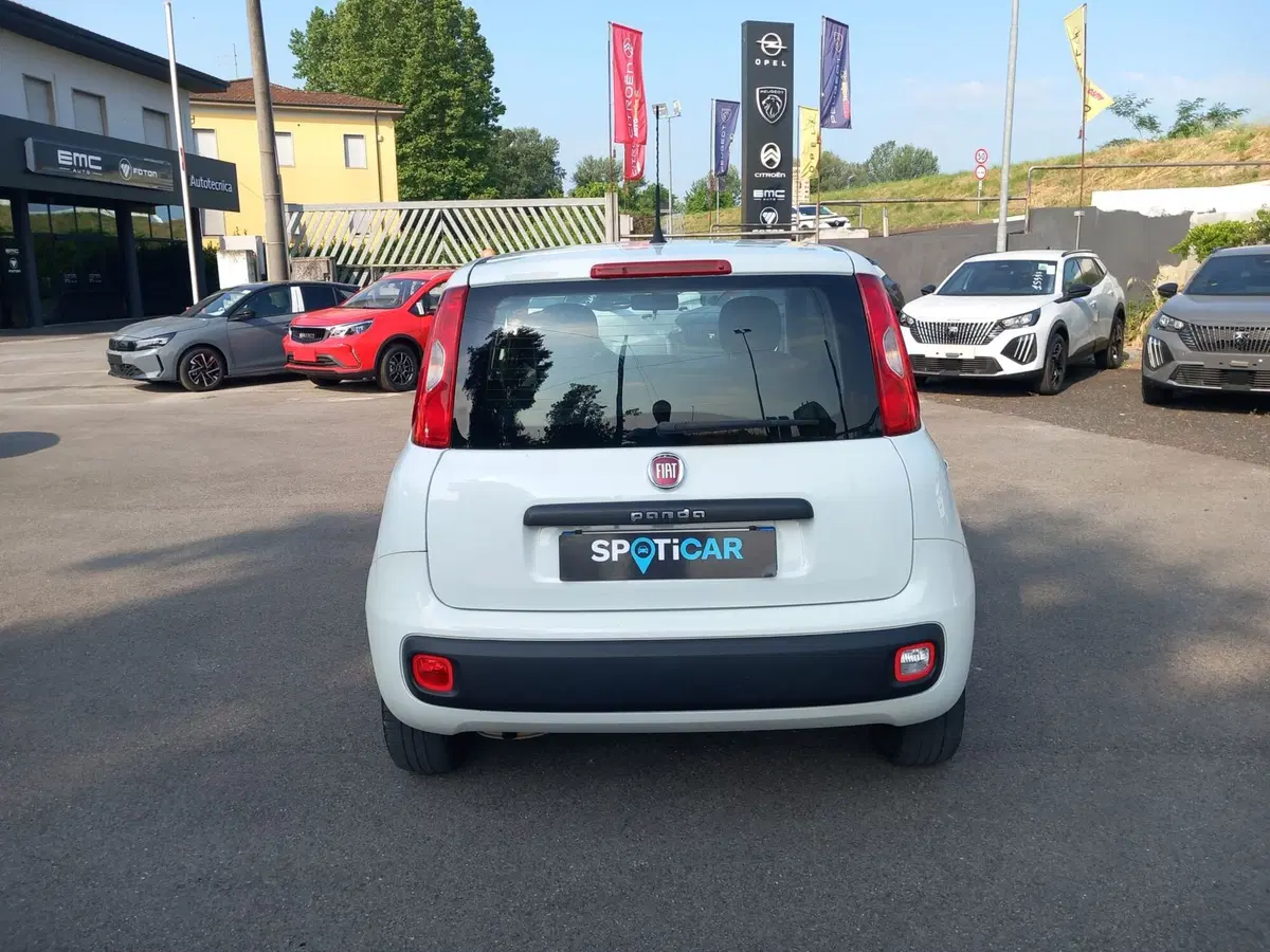 Fiat Panda usata a Lucca (5)