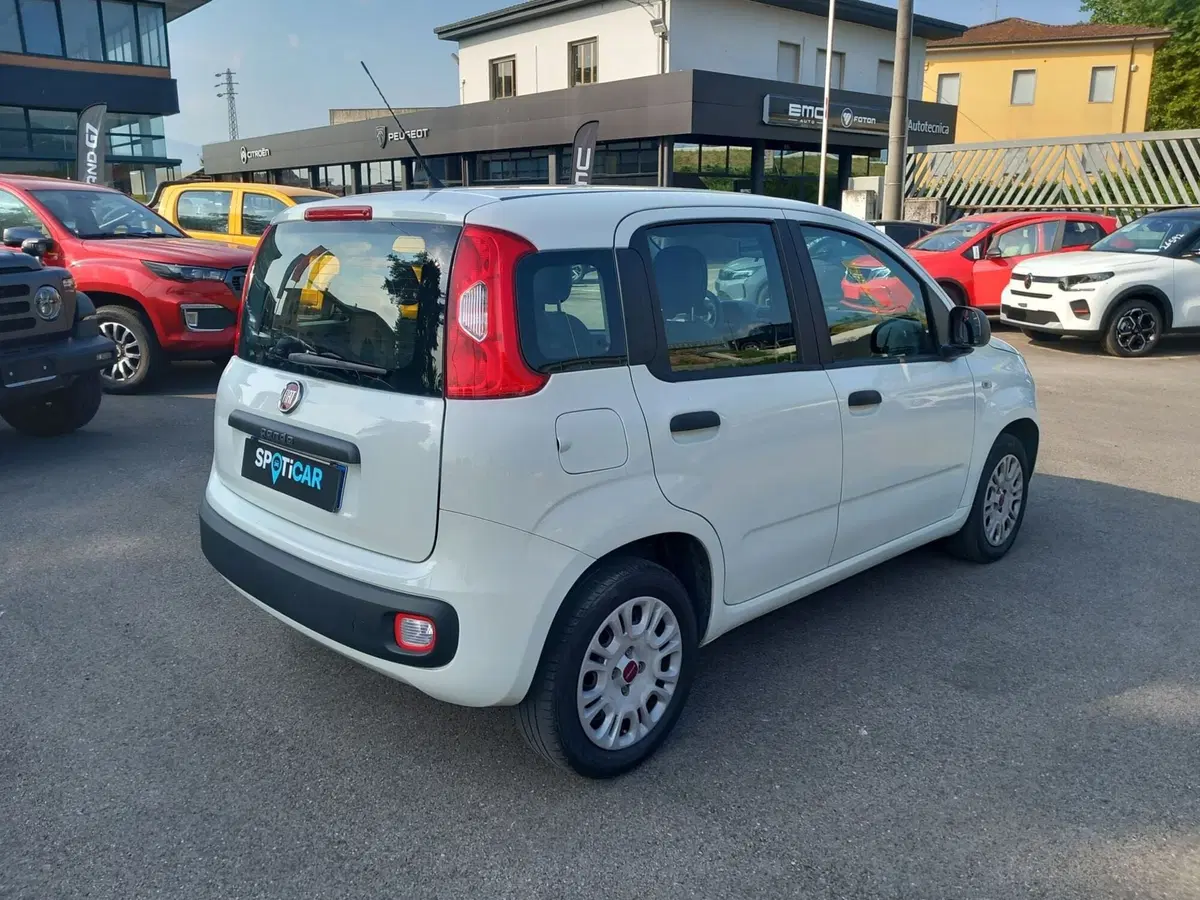 Fiat Panda usata a Lucca (6)