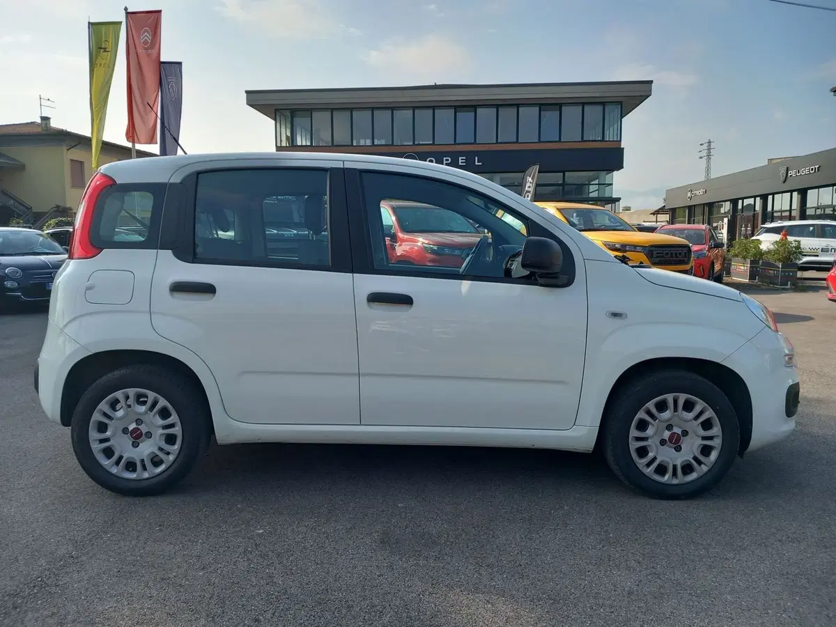 Fiat Panda usata a Lucca (7)