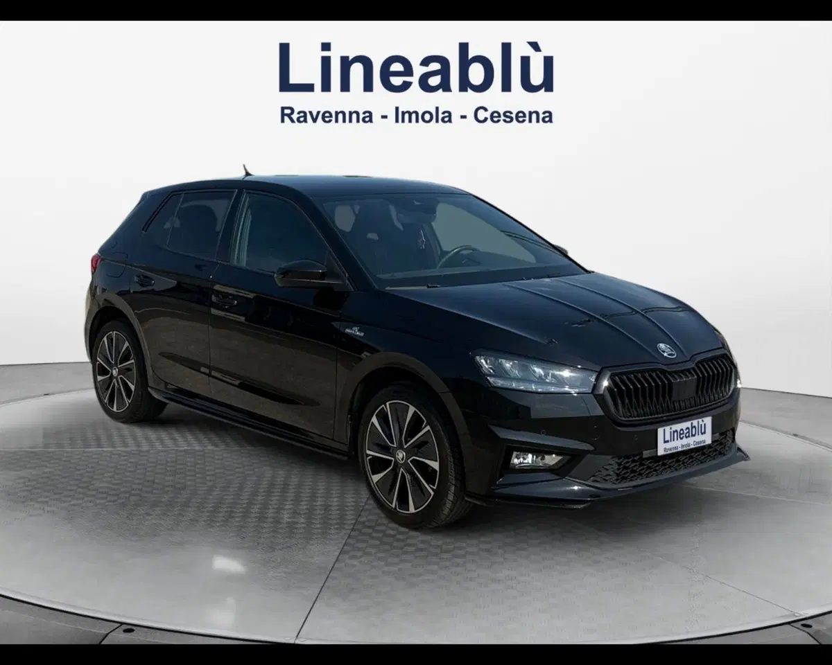 Skoda Fabia usata a Ravenna (3)