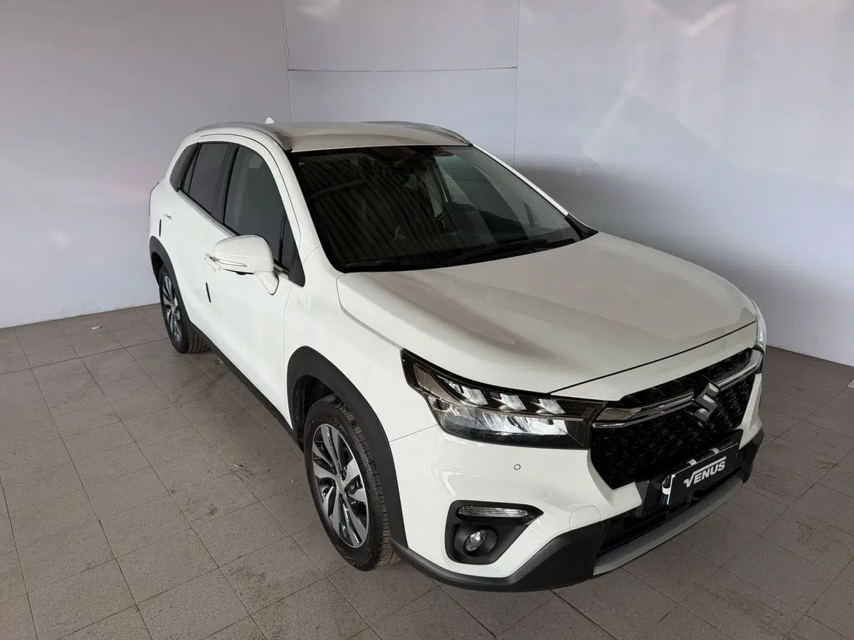 Suzuki S-Cross usata a Monza e Brianza (17)