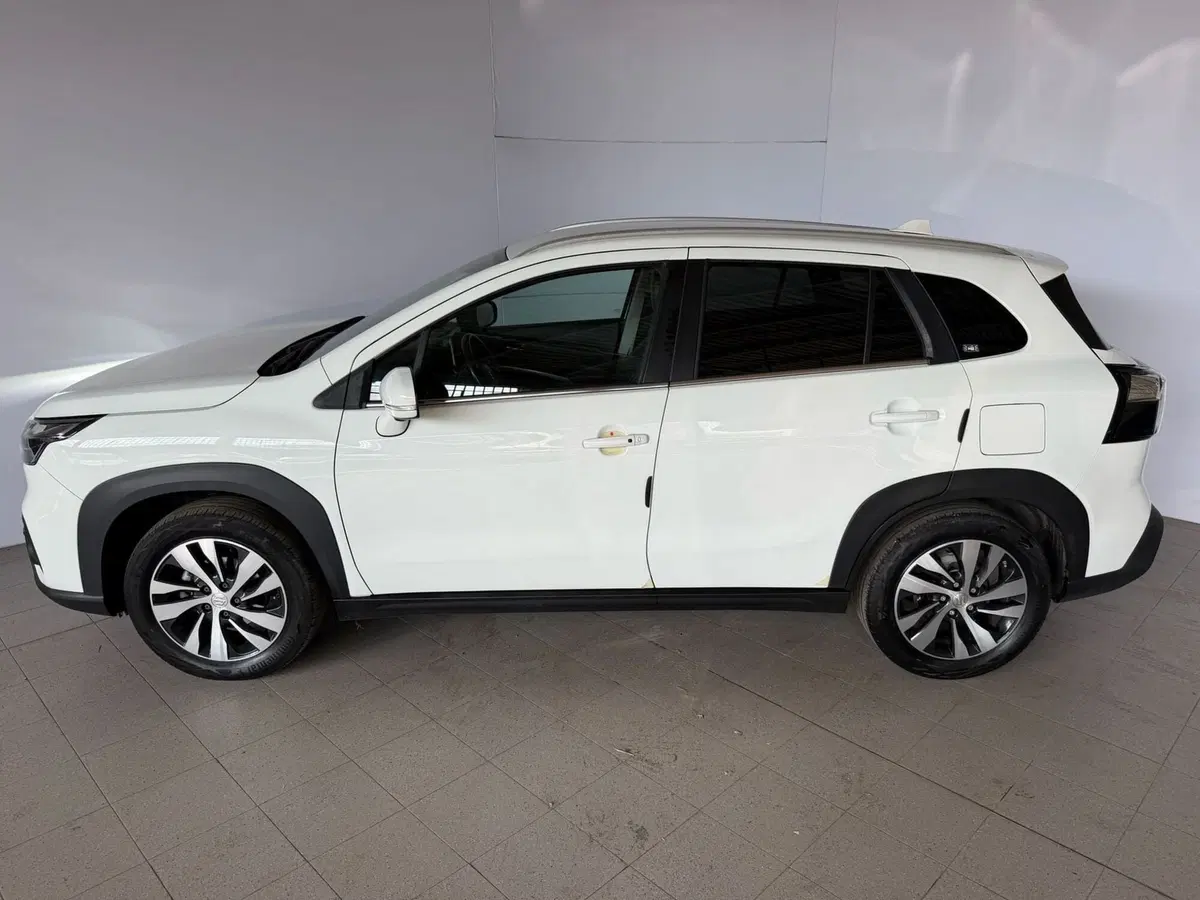 Suzuki S-Cross usata a Monza e Brianza (3)