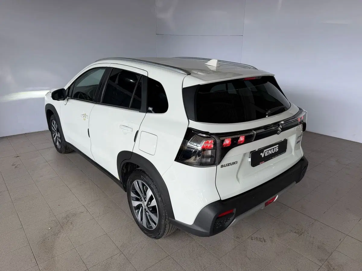 Suzuki S-Cross usata a Monza e Brianza (4)
