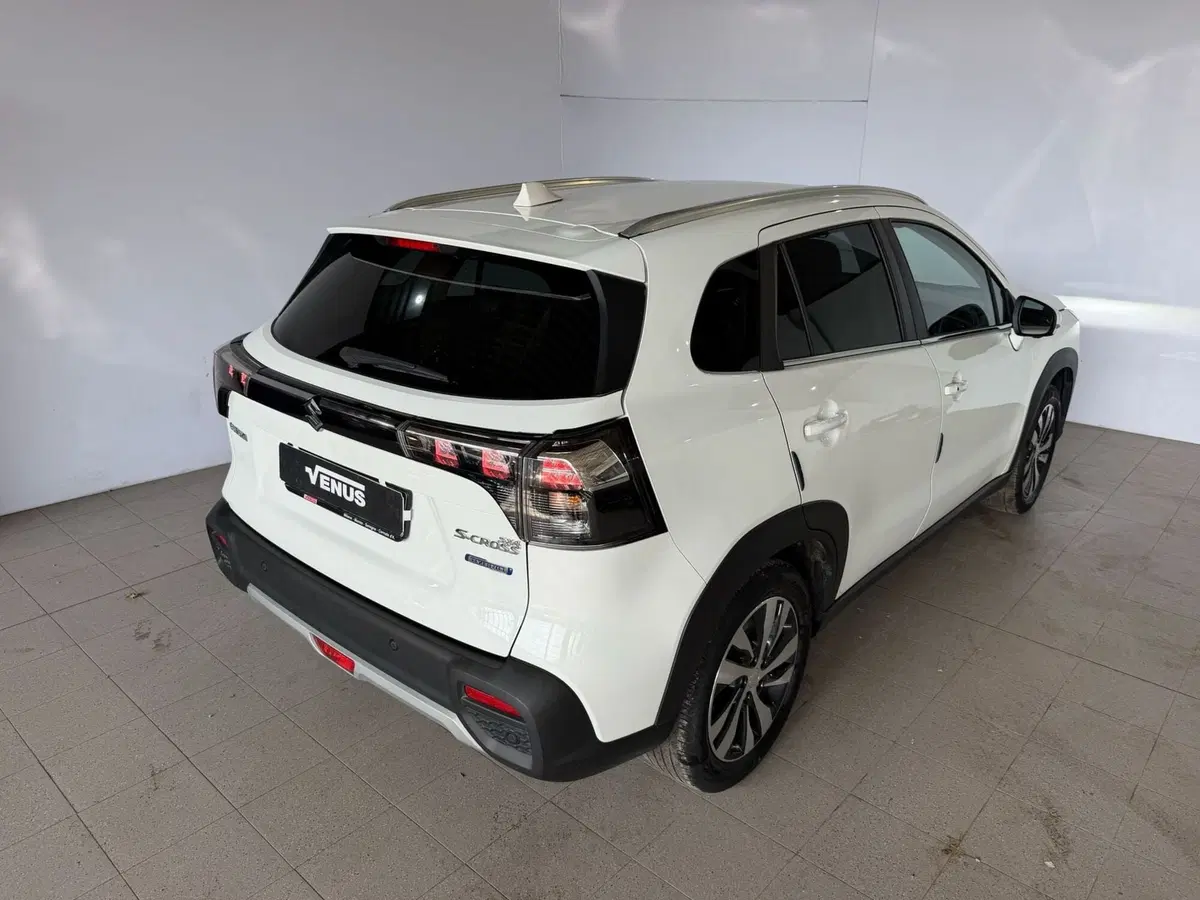 Suzuki S-Cross usata a Monza e Brianza (6)