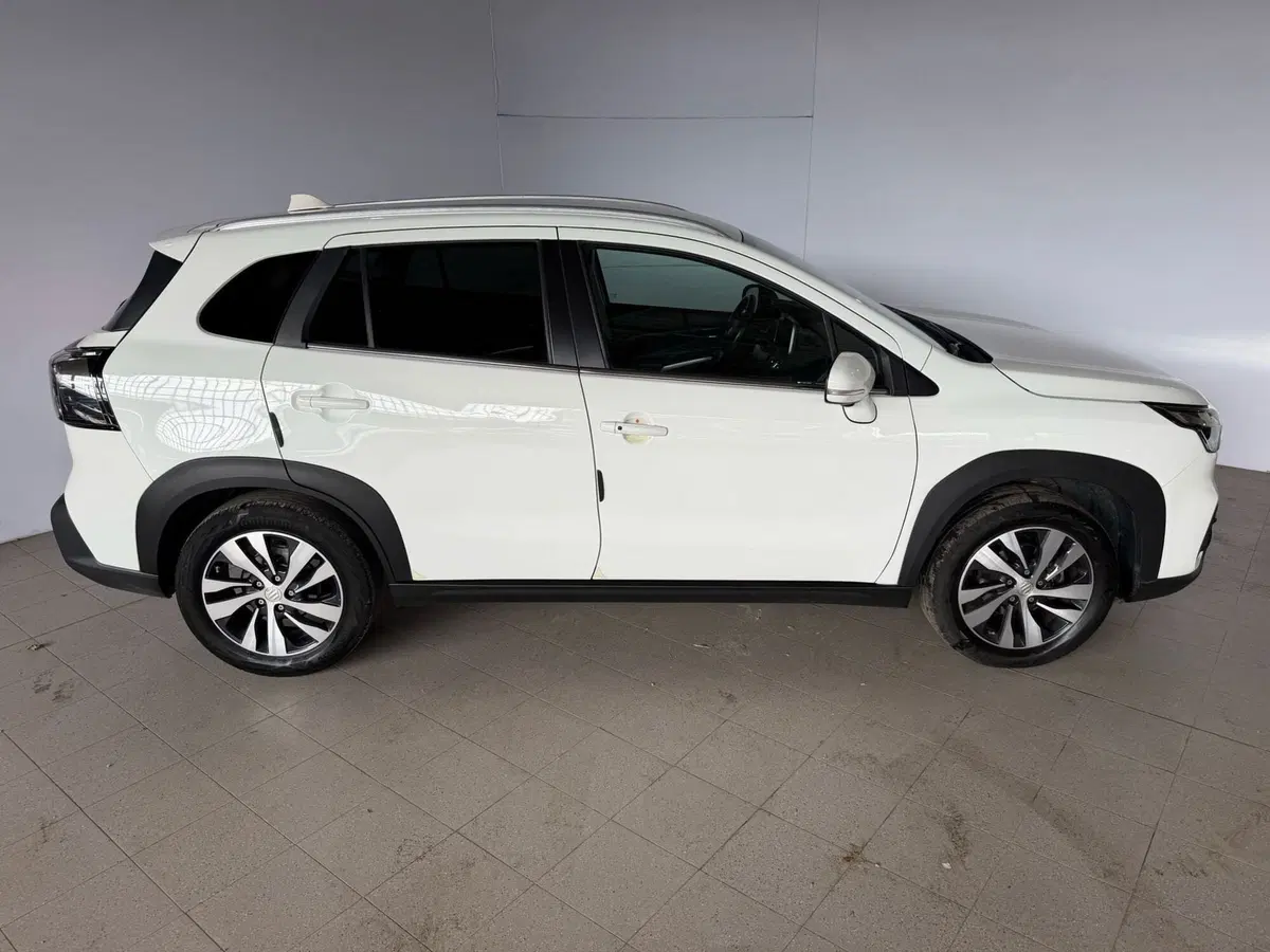 Suzuki S-Cross usata a Monza e Brianza (7)