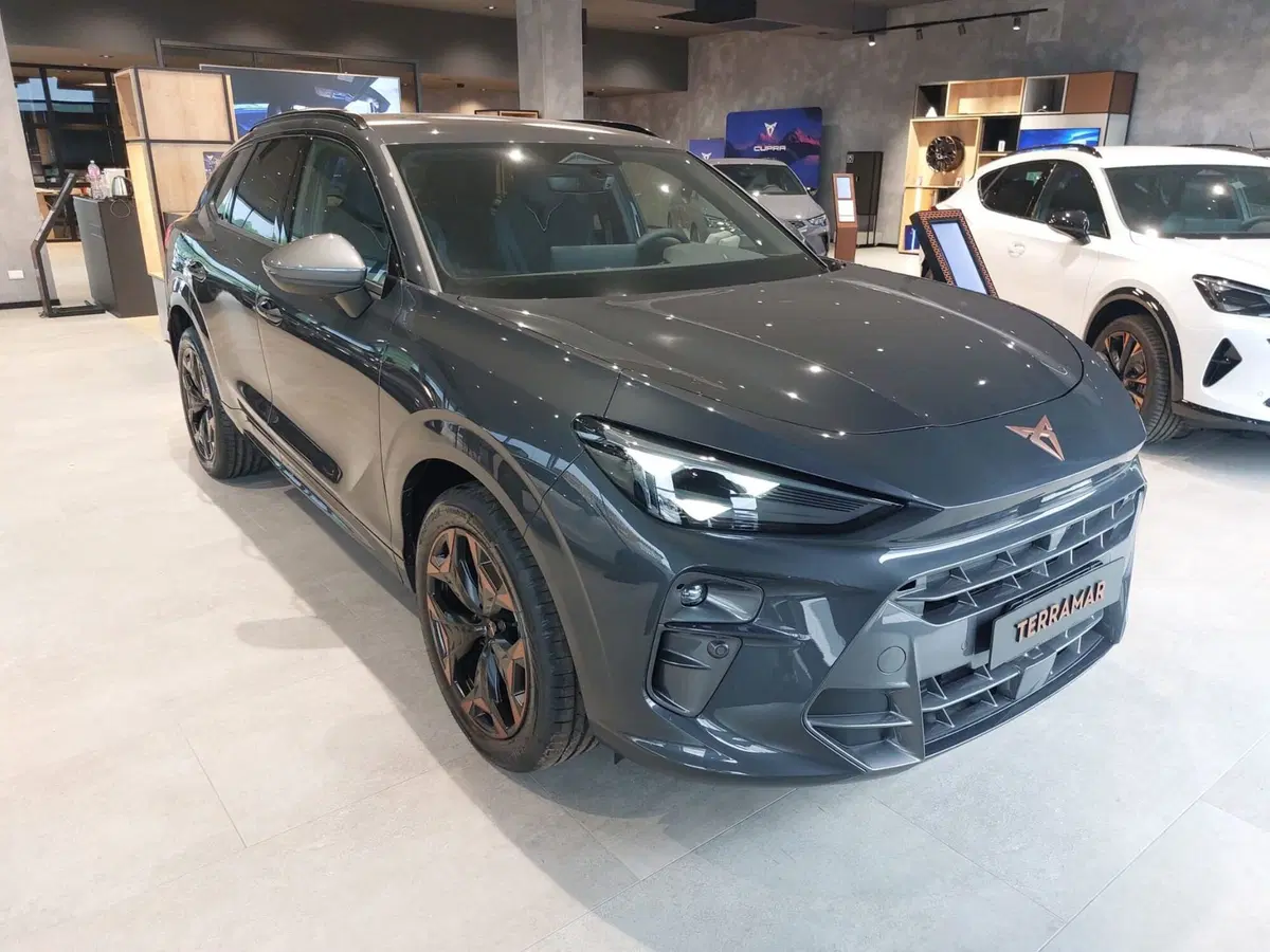 Cupra Terramar nuova a Frosinone