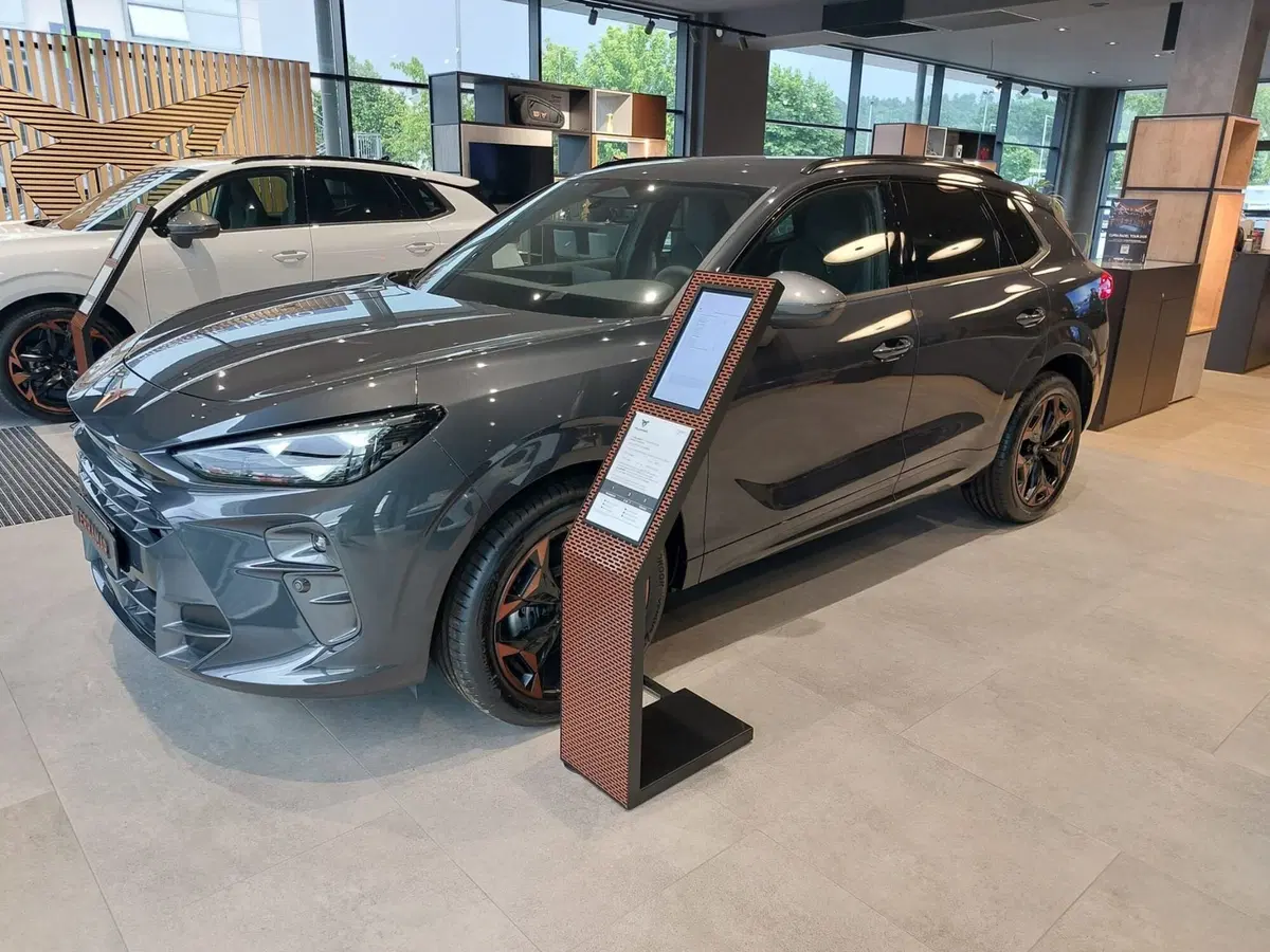 Cupra Terramar nuova a Frosinone (3)