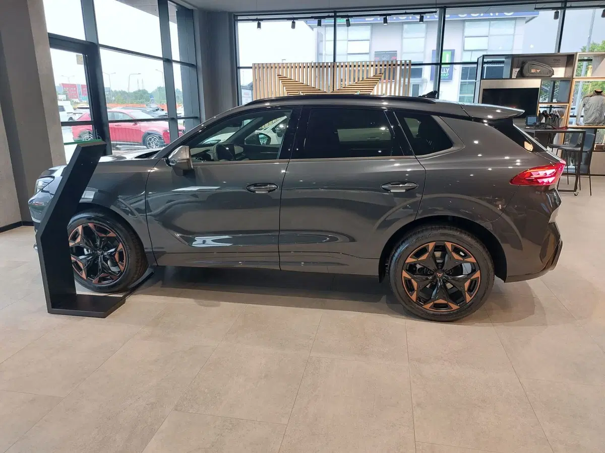 Cupra Terramar nuova a Frosinone (4)