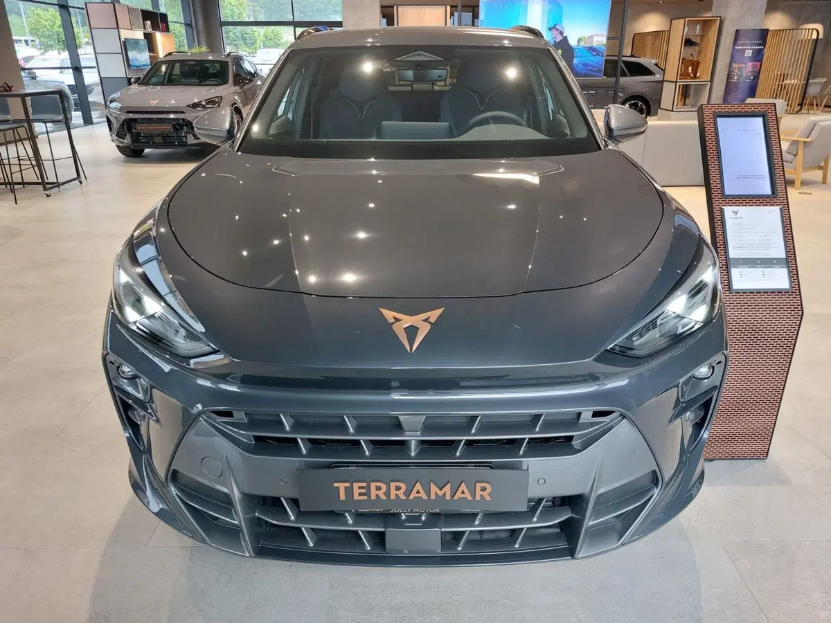 Cupra Terramar nuova a Frosinone (6)