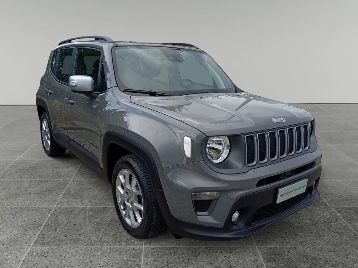 Jeep Renegade usata a Bari (15)