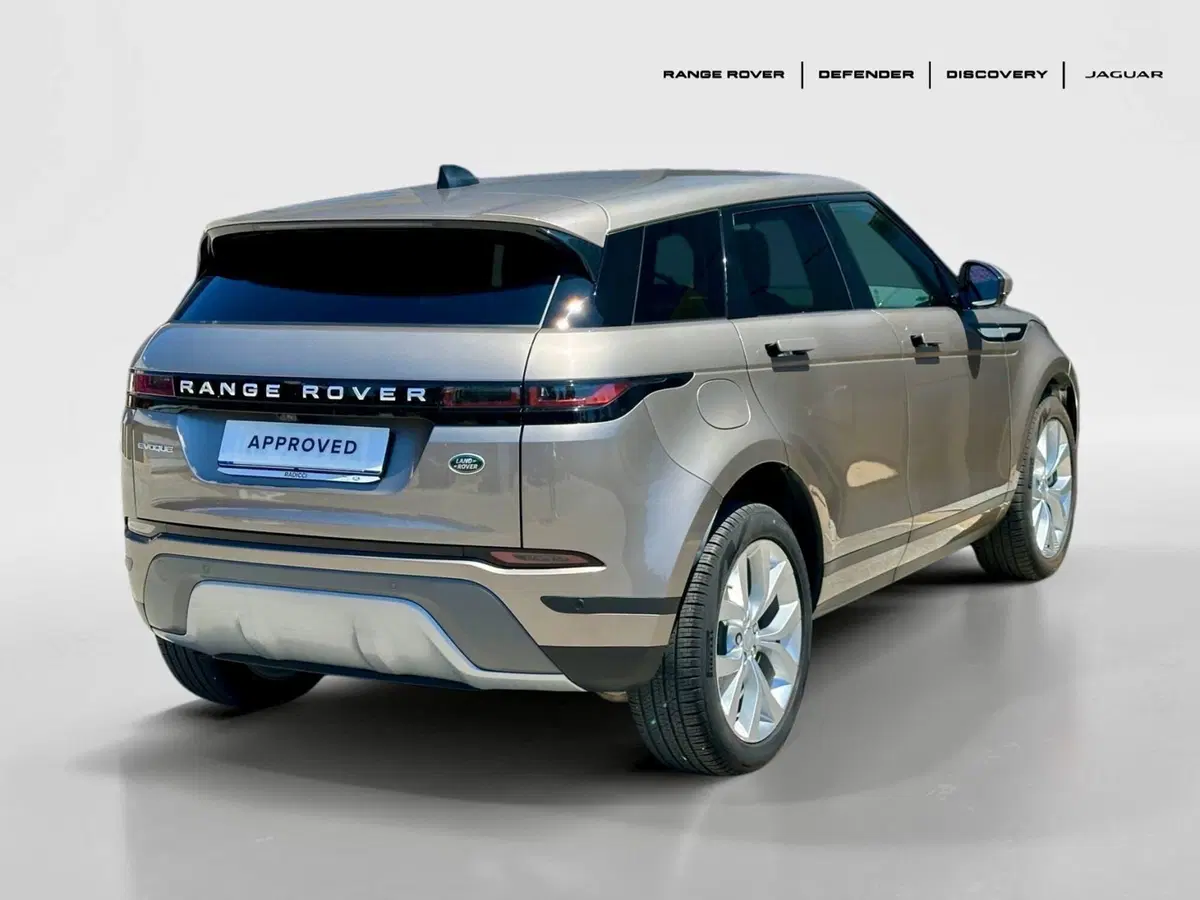 Land Rover Range Rover Evoque usata a Bari (2)
