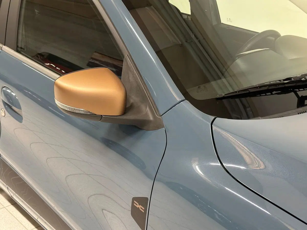 Dacia Spring usata a Verbano Cusio Ossola (10)