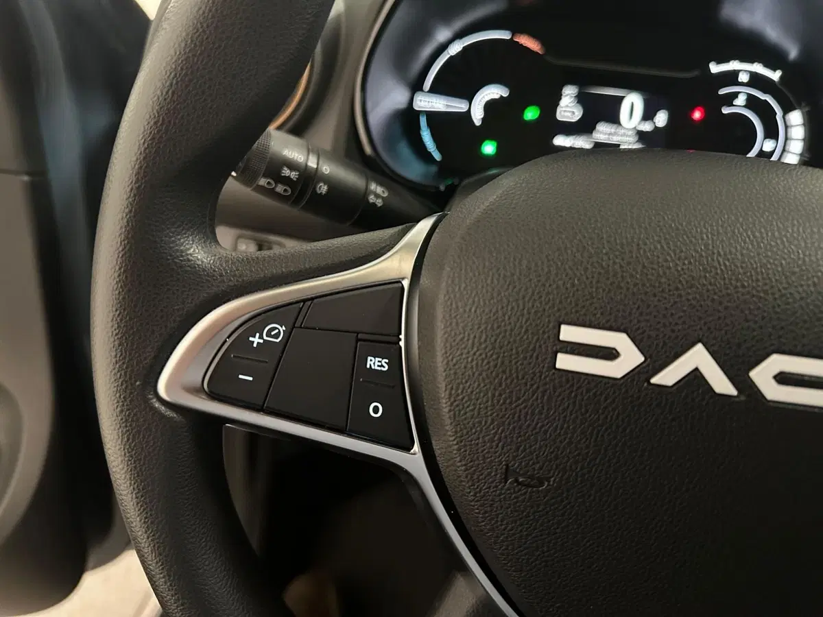 Dacia Spring usata a Verbano Cusio Ossola (14)