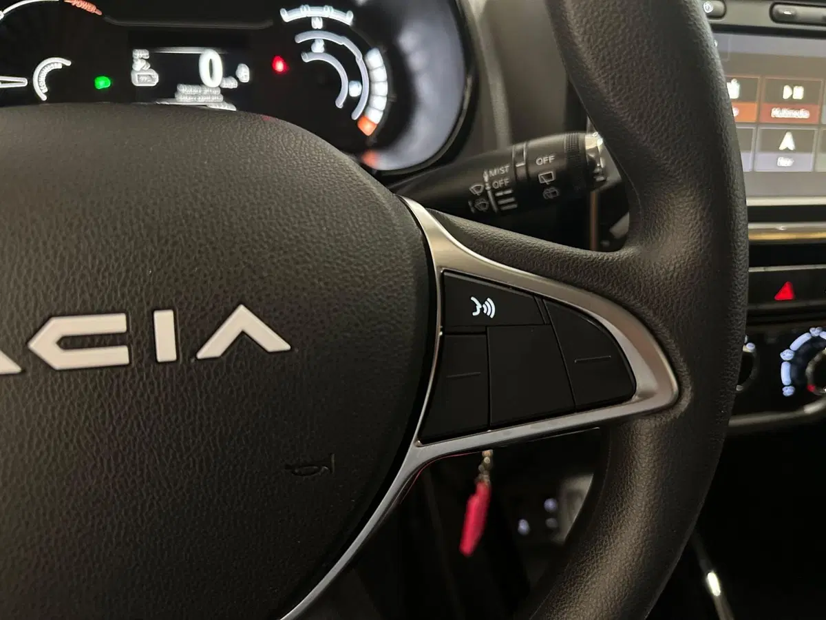 Dacia Spring usata a Verbano Cusio Ossola (15)