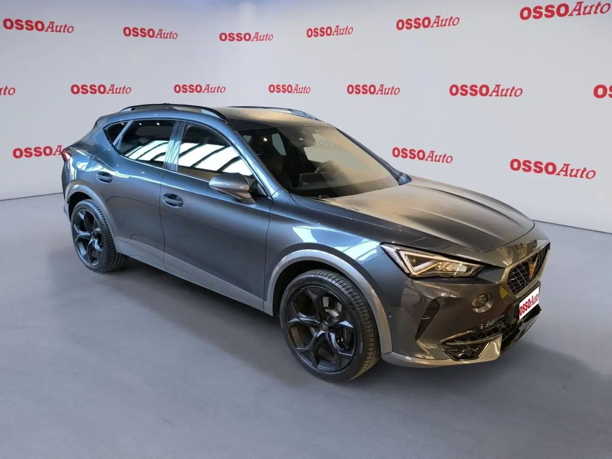 Cupra Formentor usata a Udine (2)