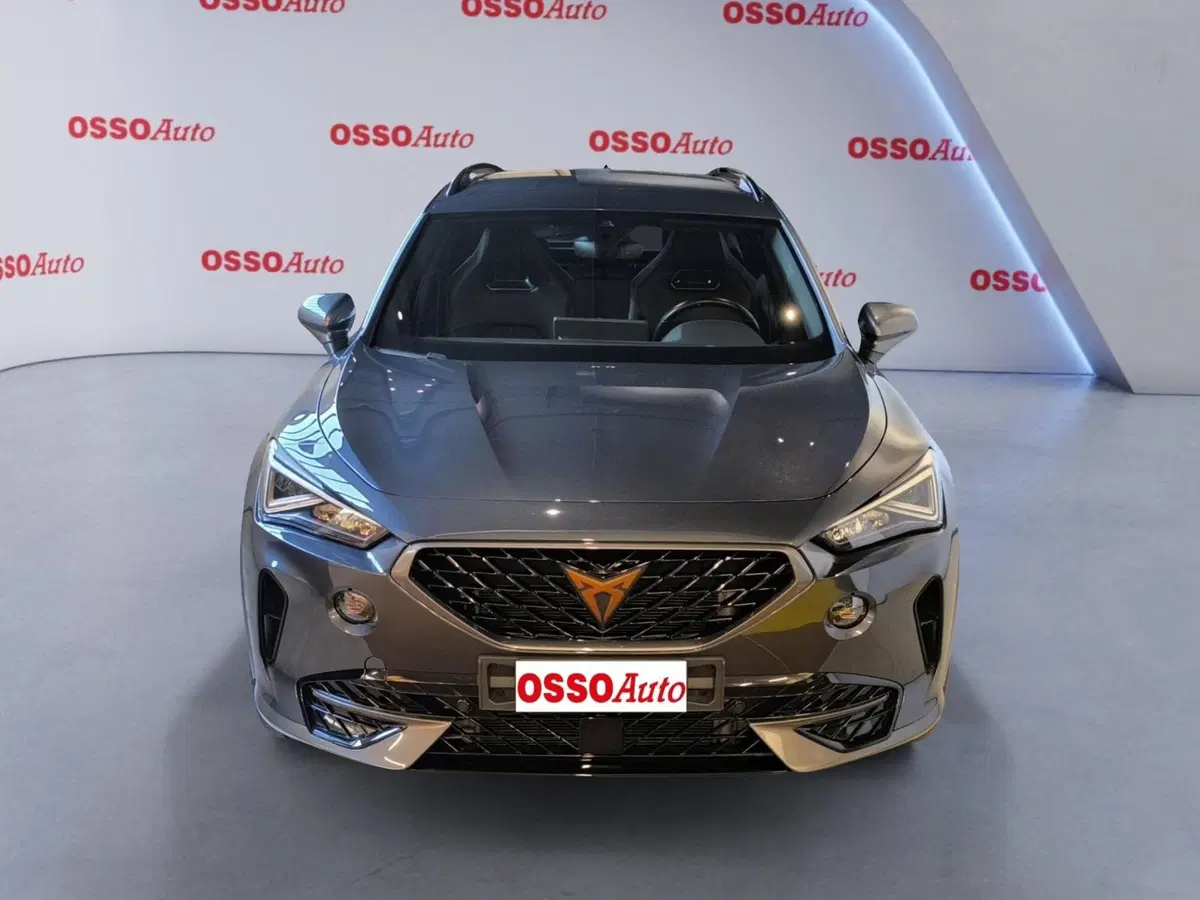 Cupra Formentor usata a Udine (5)