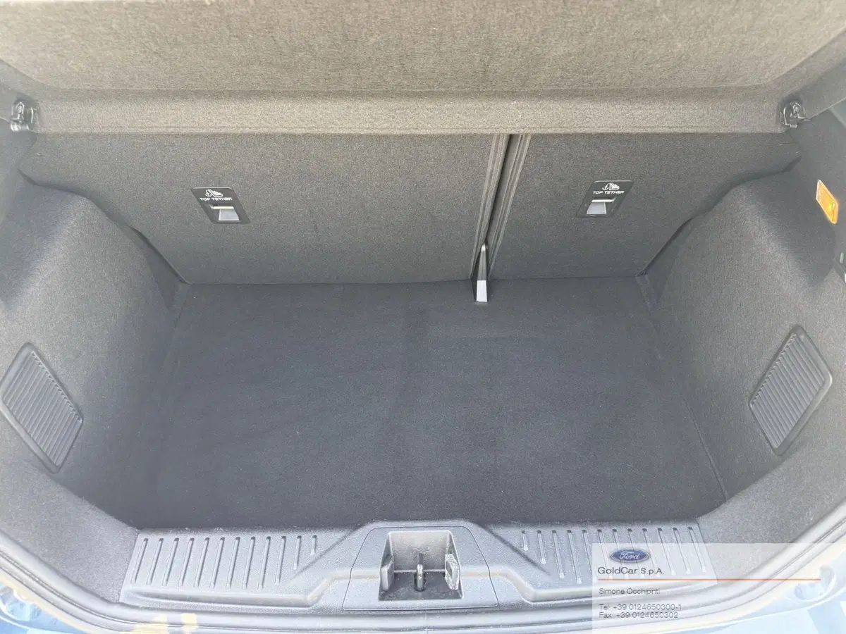 Ford Fiesta usata a Torino (12)