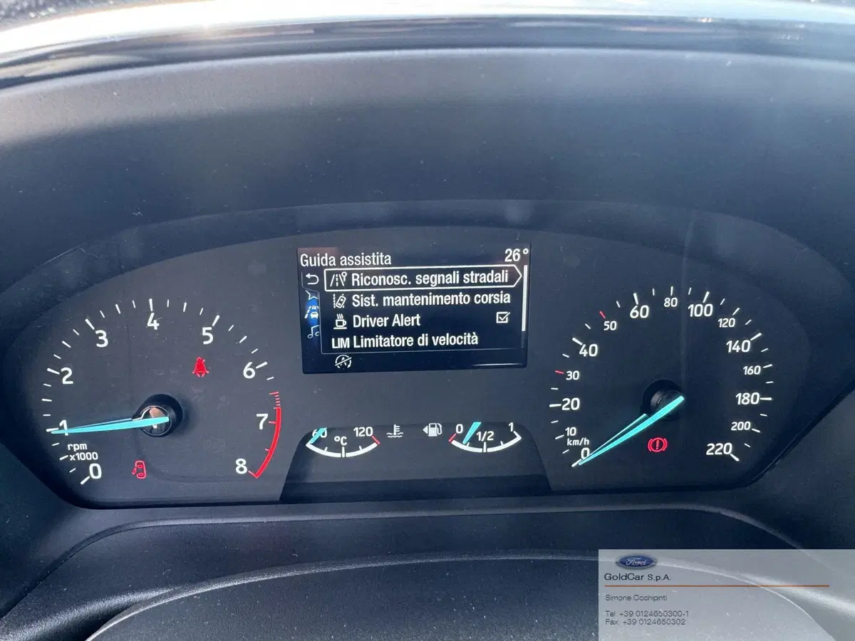 Ford Fiesta usata a Torino (18)