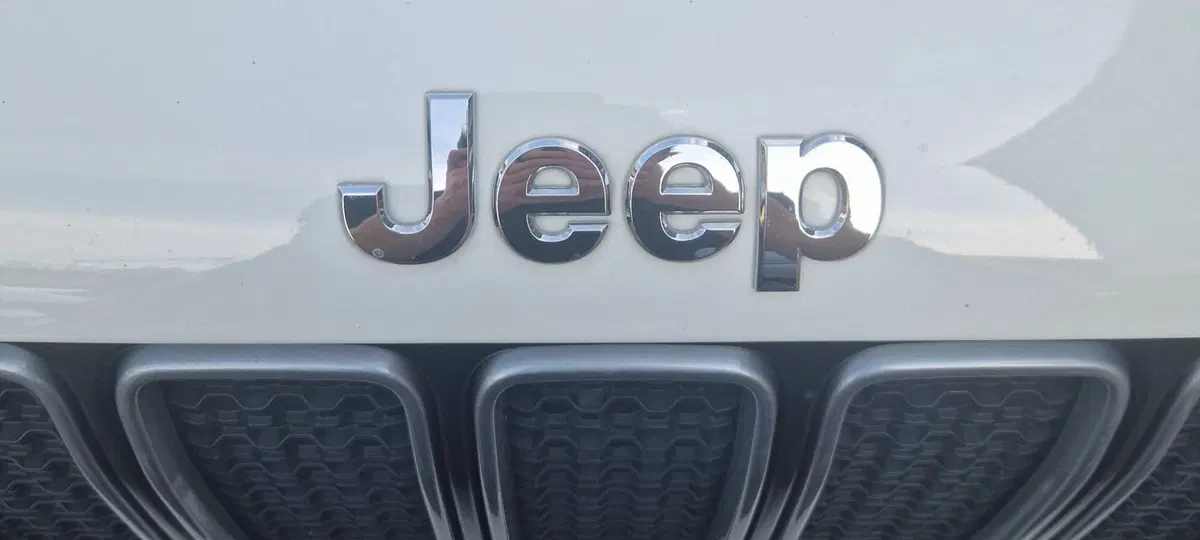Jeep Renegade usata a Terni (20)