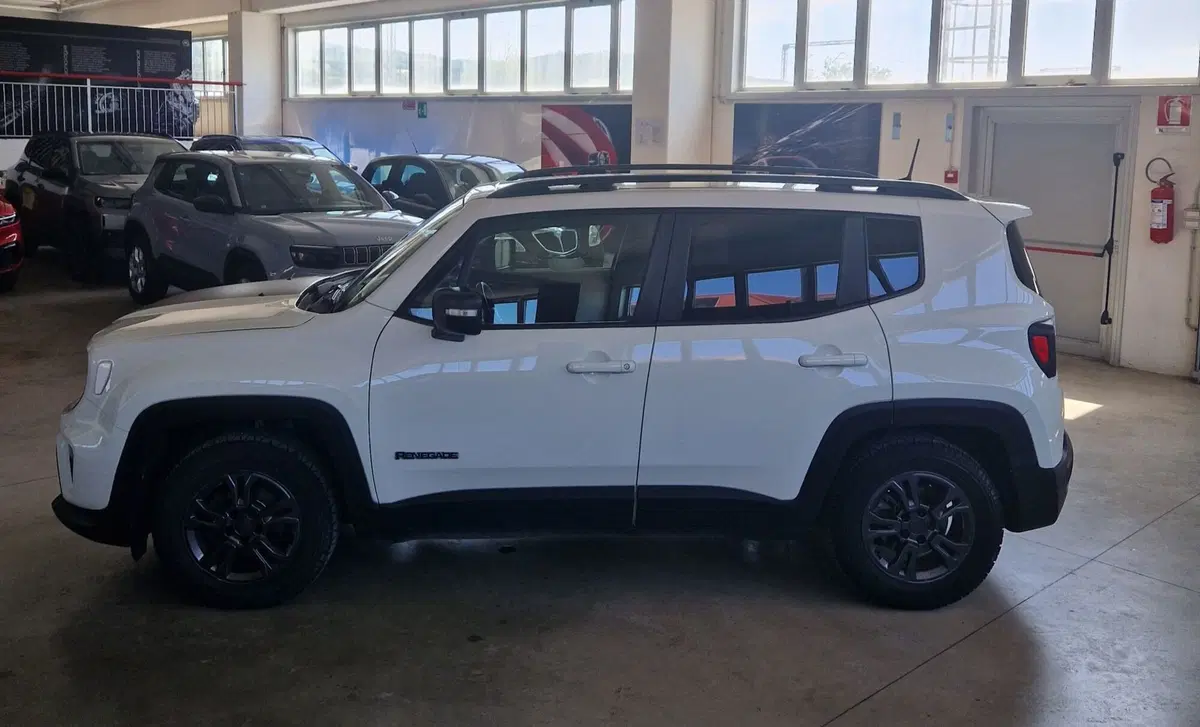 Jeep Renegade usata a Terni (6)