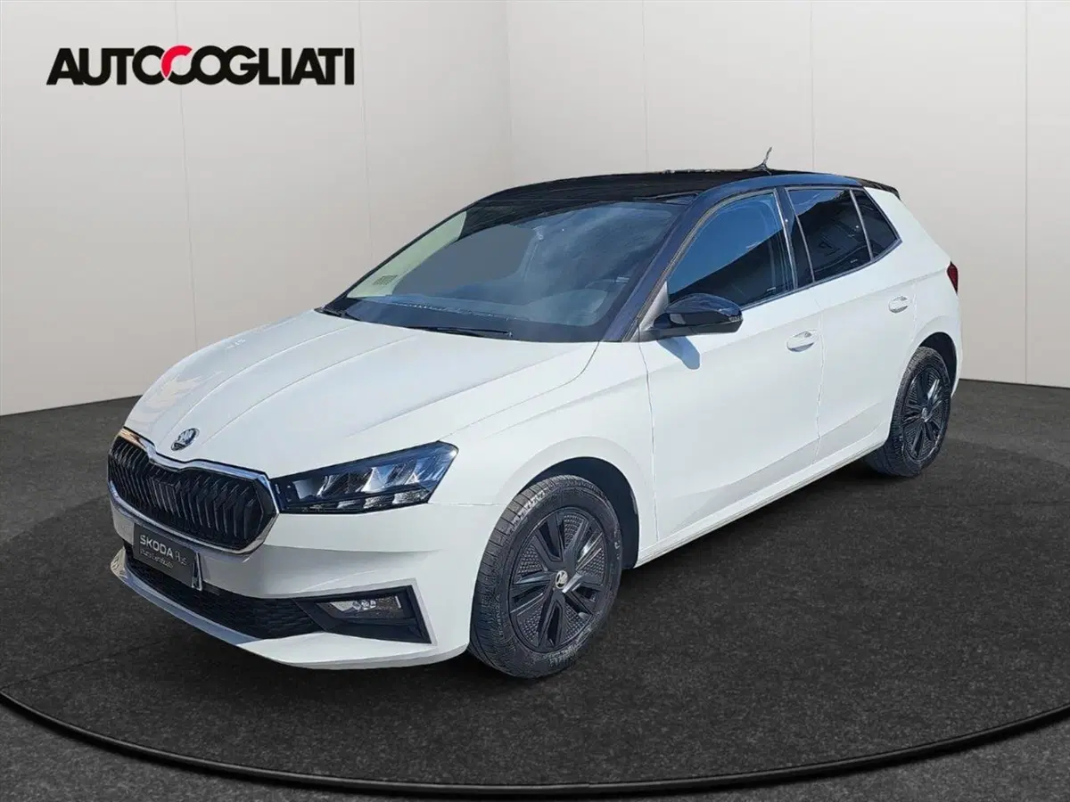 Skoda Fabia usata a Lecco