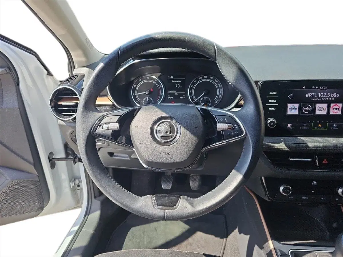 Skoda Fabia usata a Lecco (10)