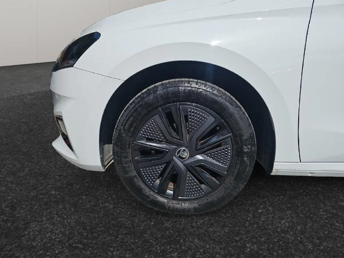Skoda Fabia usata a Lecco (17)