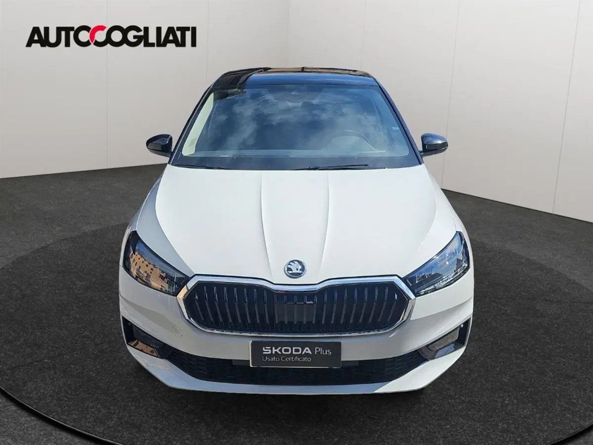 Skoda Fabia usata a Lecco (2)