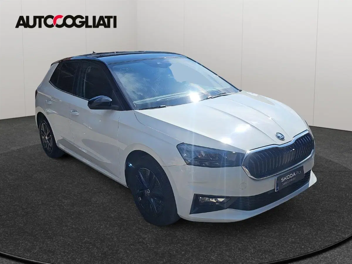 Skoda Fabia usata a Lecco (3)