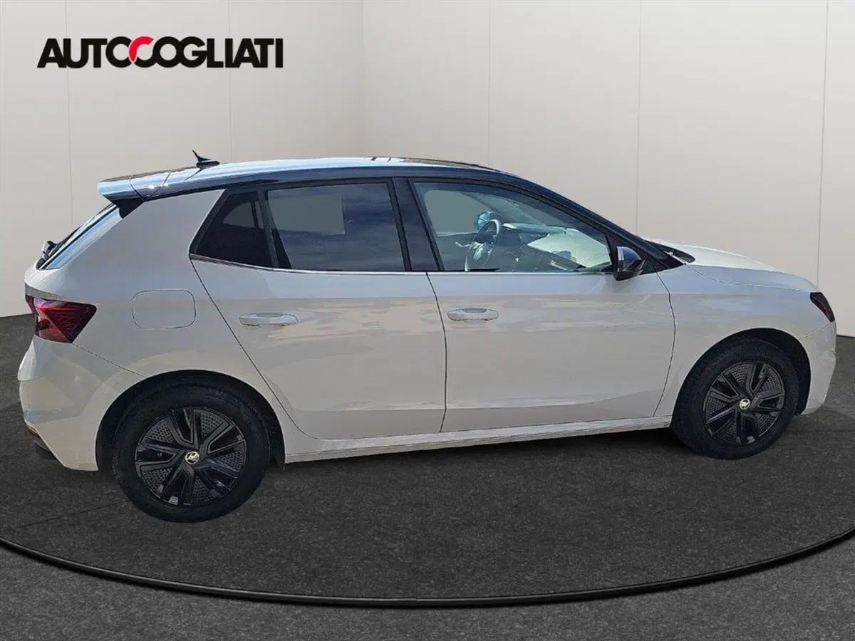 Skoda Fabia usata a Lecco (4)