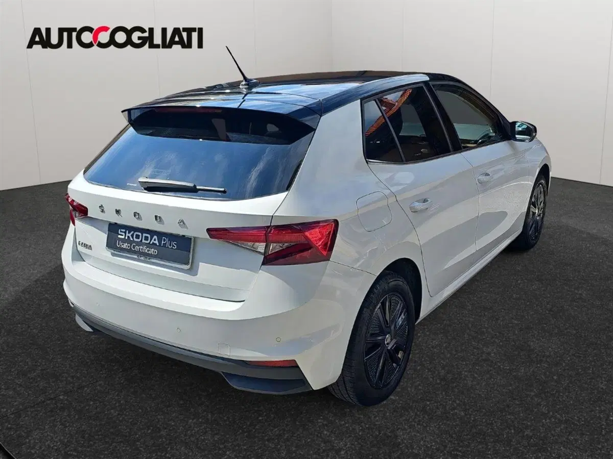 Skoda Fabia usata a Lecco (5)