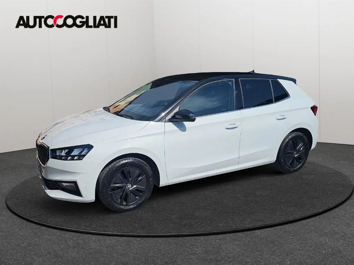 Skoda Fabia usata a Lecco (6)