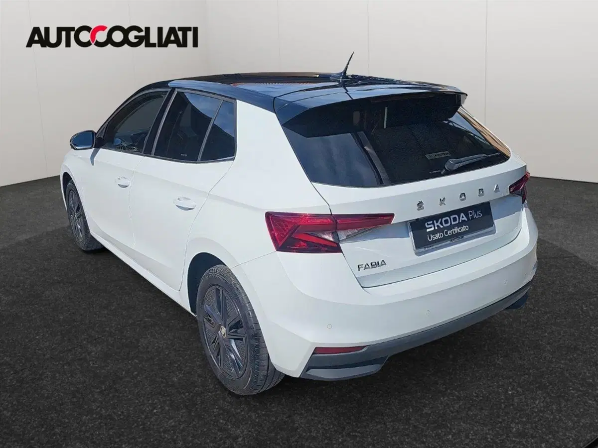 Skoda Fabia usata a Lecco (7)