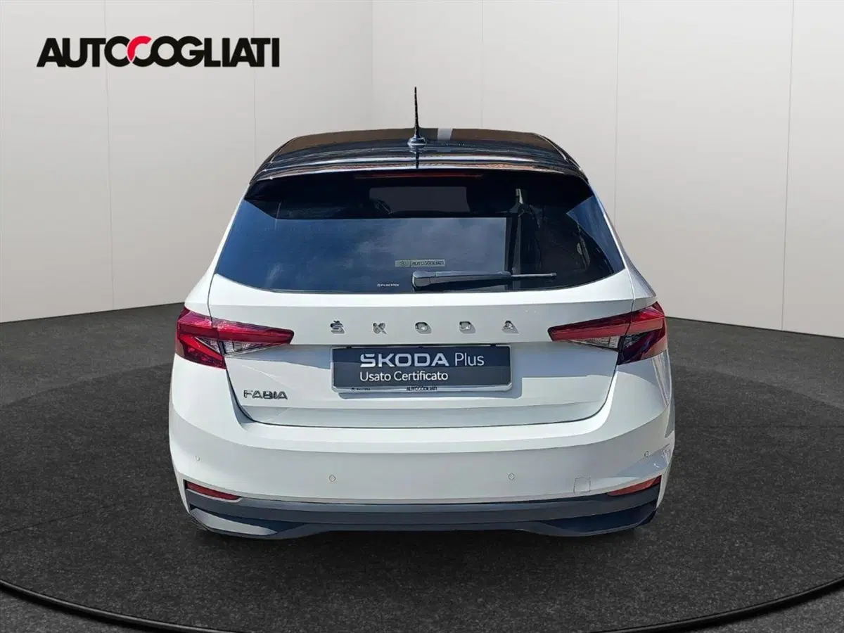 Skoda Fabia usata a Lecco (8)