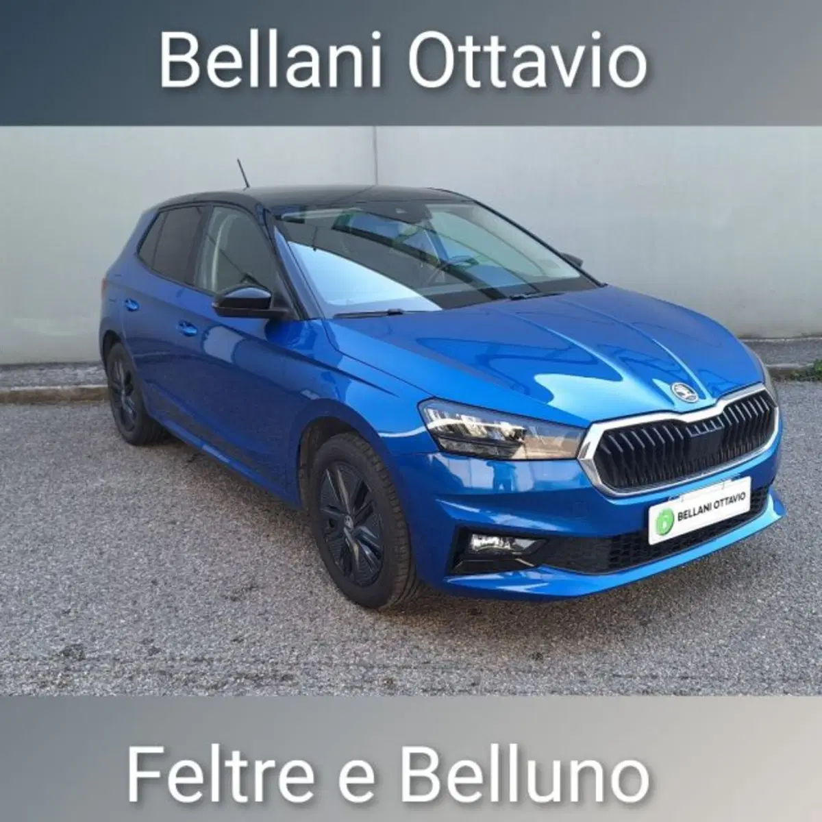Skoda Fabia usata a Belluno