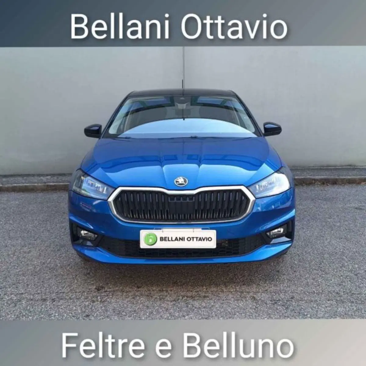 Skoda Fabia usata a Belluno (2)