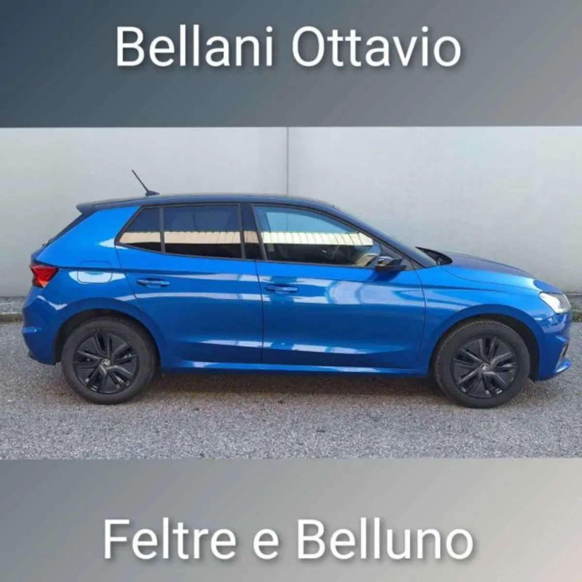 Skoda Fabia usata a Belluno (3)
