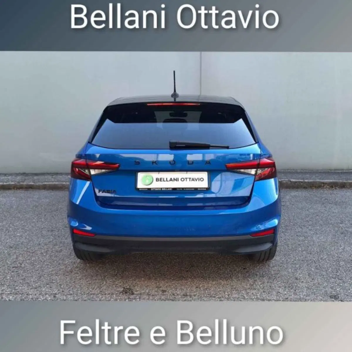 Skoda Fabia usata a Belluno (5)