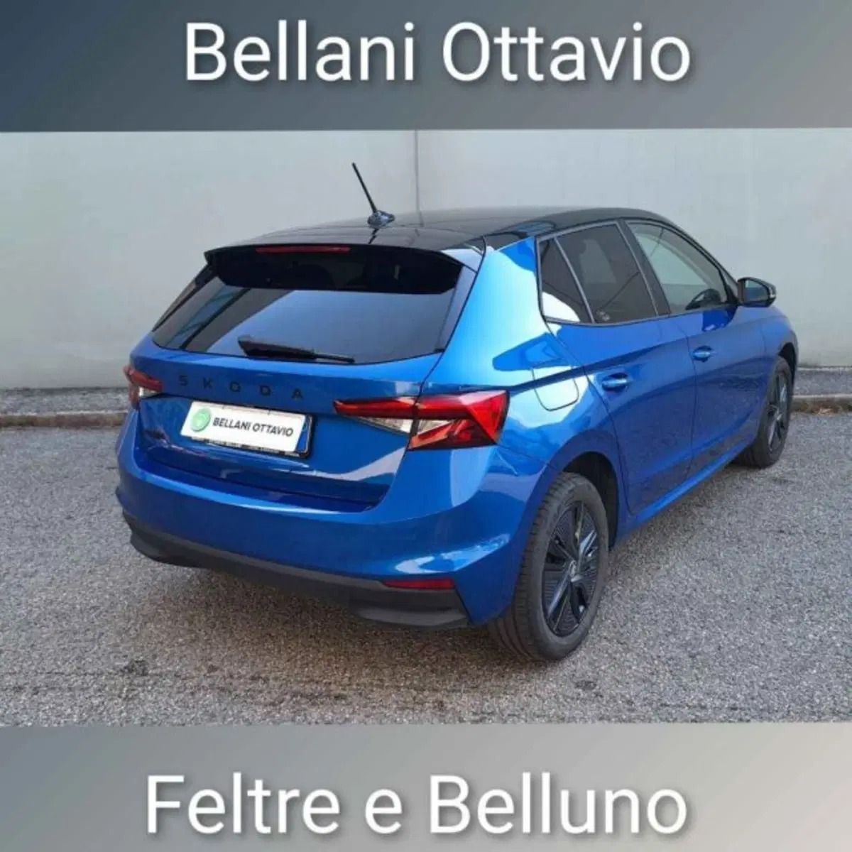 Skoda Fabia usata a Belluno (6)