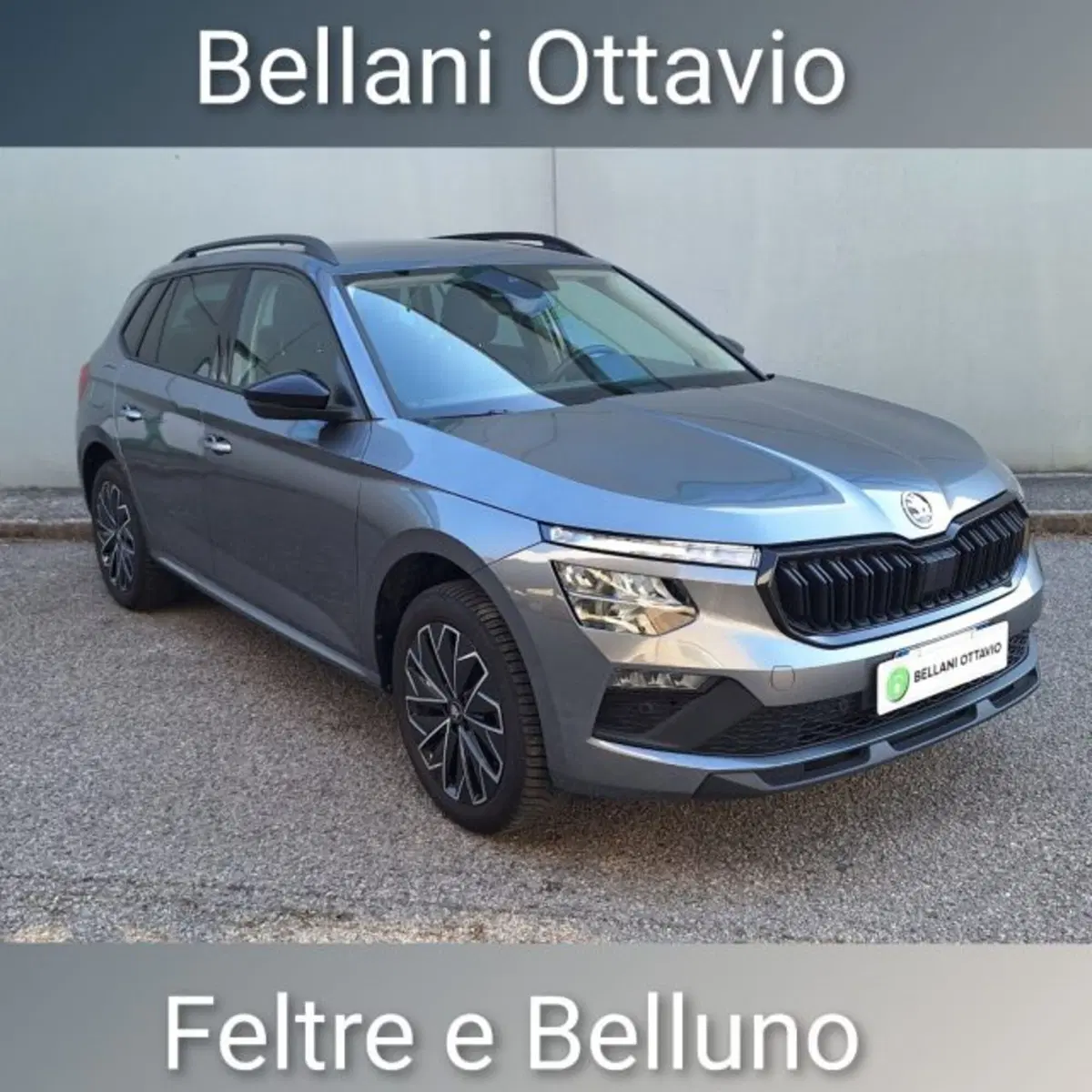 Skoda Kamiq usata a Belluno
