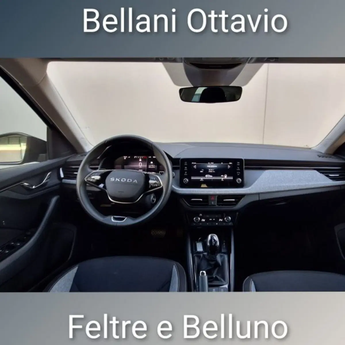Skoda Kamiq usata a Belluno (10)