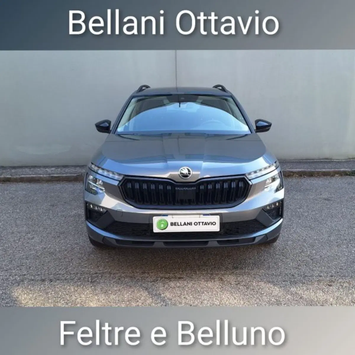 Skoda Kamiq usata a Belluno (2)