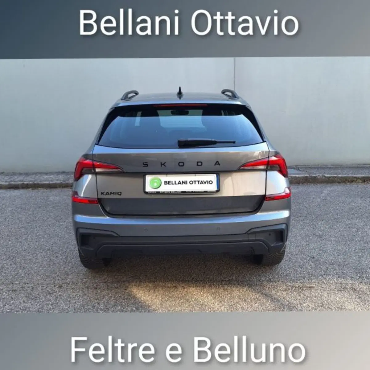 Skoda Kamiq usata a Belluno (5)