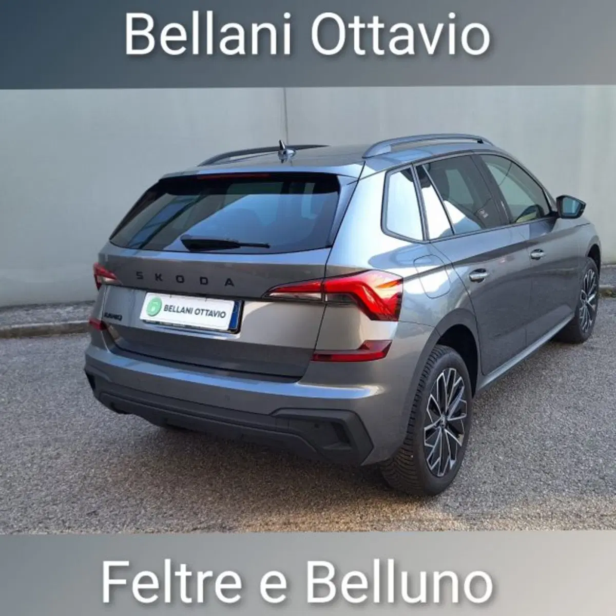 Skoda Kamiq usata a Belluno (6)